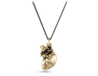 Anatomical Heart Necklace in Bronze - shown on gunmetal chain