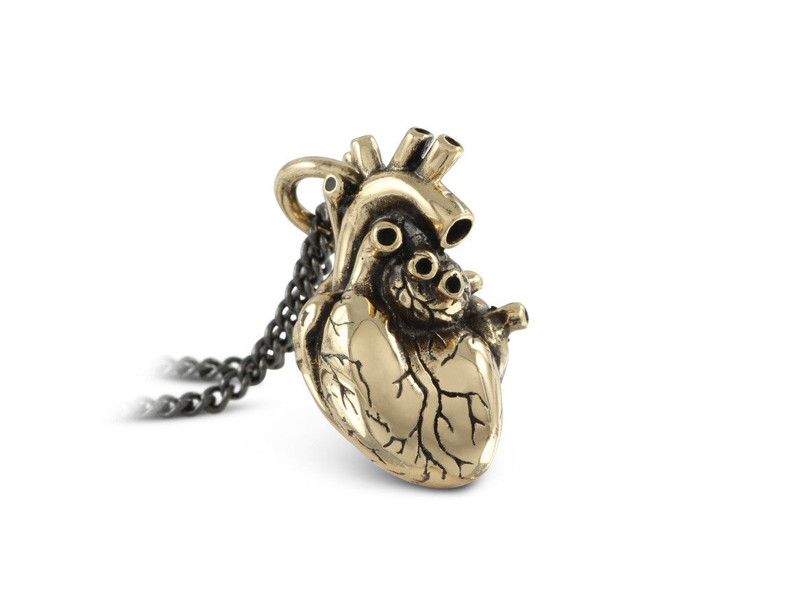 Anatomical Heart Necklace in Bronze - shown on gunmetal chain