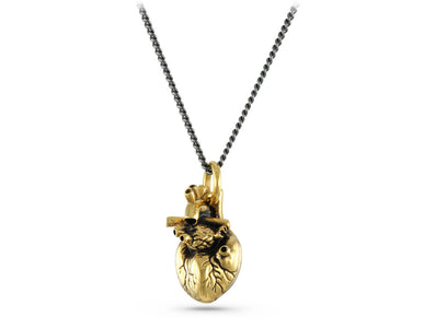 Anatomical Heart Necklace in Gold - shown on gunmetal chain