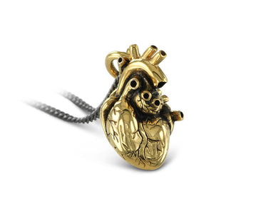 Anatomical Heart Necklace in Gold - shown on gunmetal chain