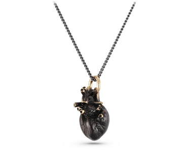 Black Anatomical Heart Necklace in Bronze - shown on gunmetal chain