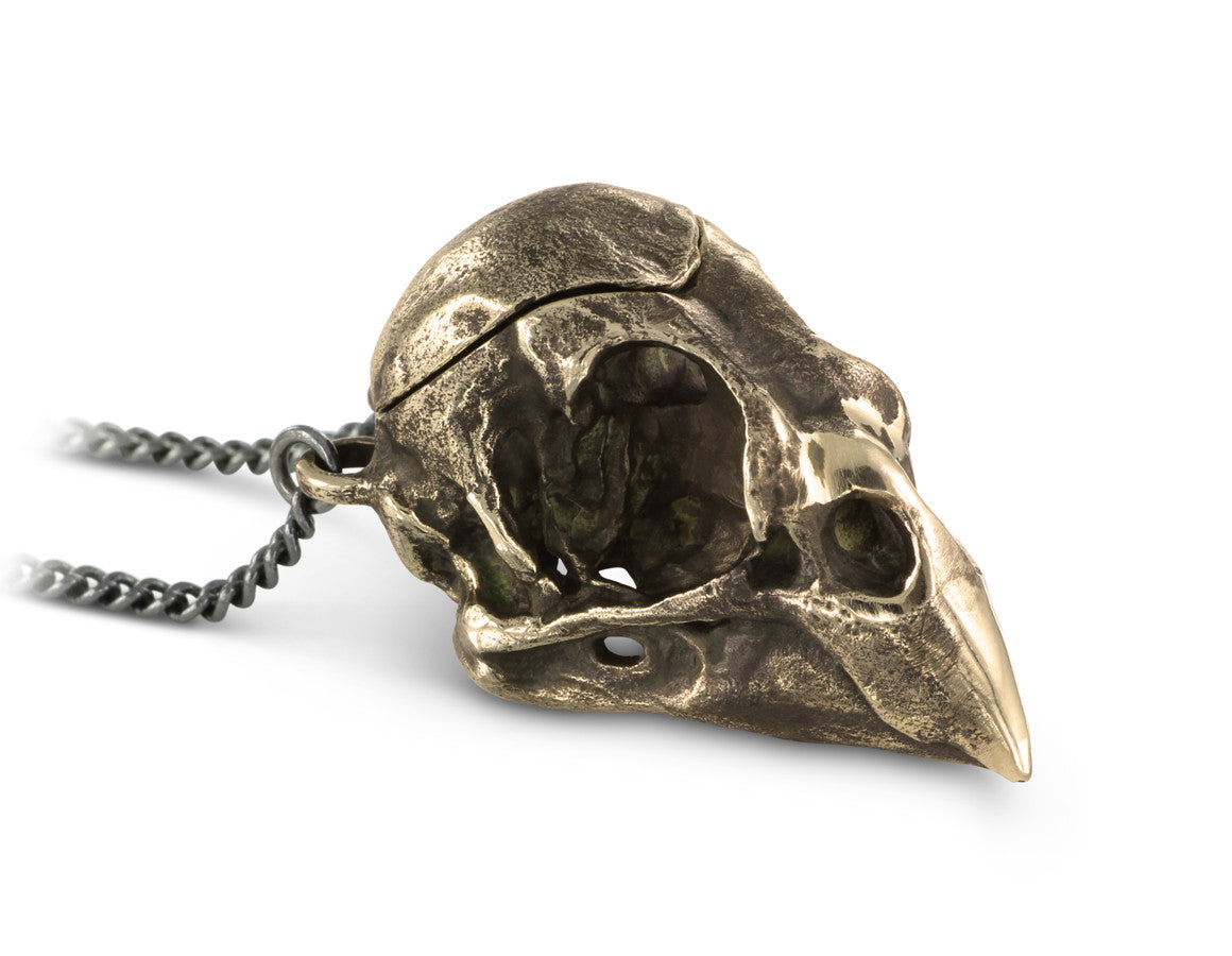 Cardinal Skull Locket in Bronze - shown on gunmetal chain