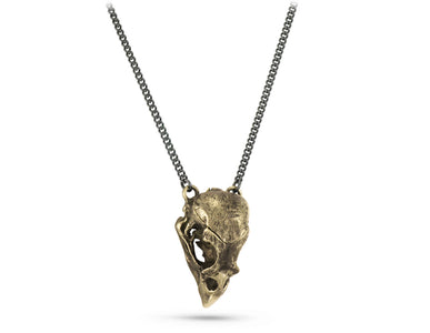 Cardinal Skull Locket in Bronze - shown on gunmetal chain