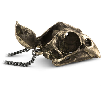 Cardinal Skull Locket in Bronze - shown on gunmetal chain