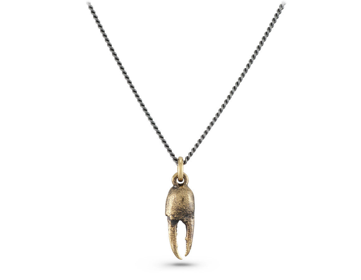 Small Crab Claw Necklace in Bronze - shown on gunmetal chain