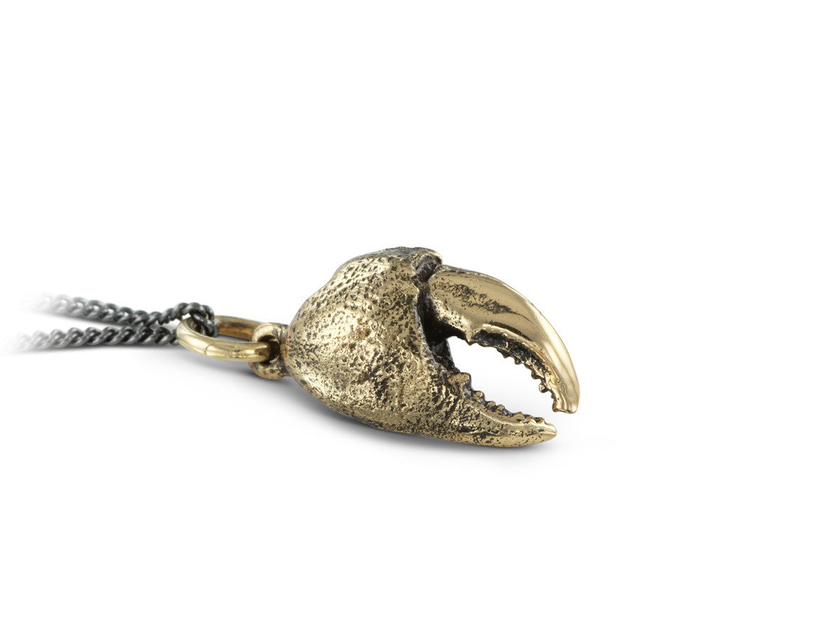 Crab Claw Necklace in Bronze - shown on gunmetal chain