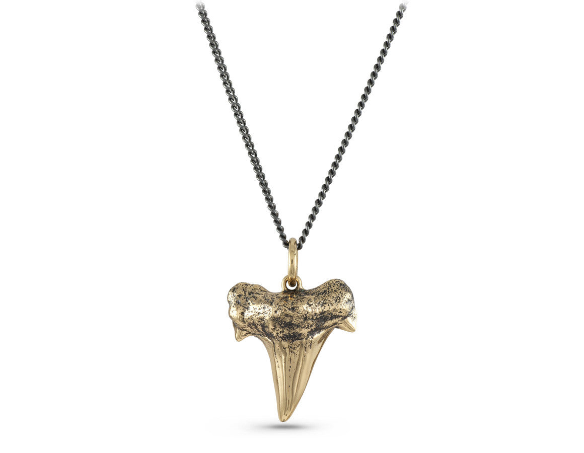 Shark Tooth Necklace in Bronze - shown on gunmetal chain