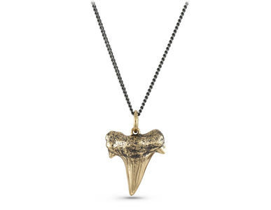 Shark Tooth Necklace in Bronze - shown on gunmetal chain