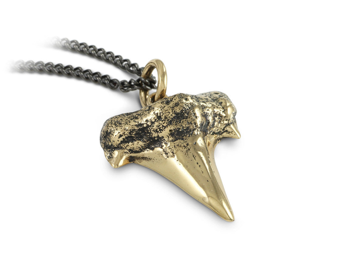 Shark Tooth Necklace in Bronze - shown on gunmetal chain