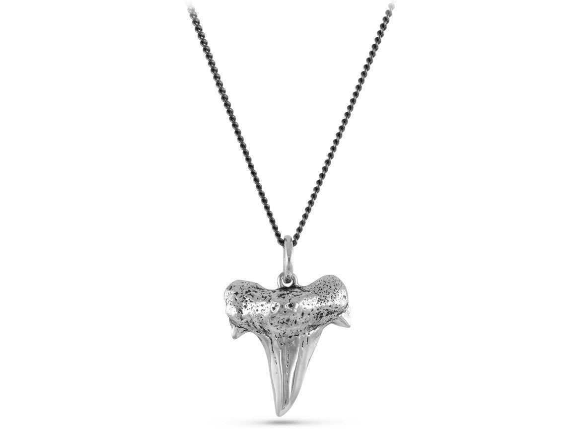 Shark Tooth Necklace in Silver - shown on gunmetal chain