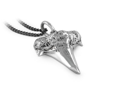 Shark Tooth Necklace in Silver - shown on gunmetal chain