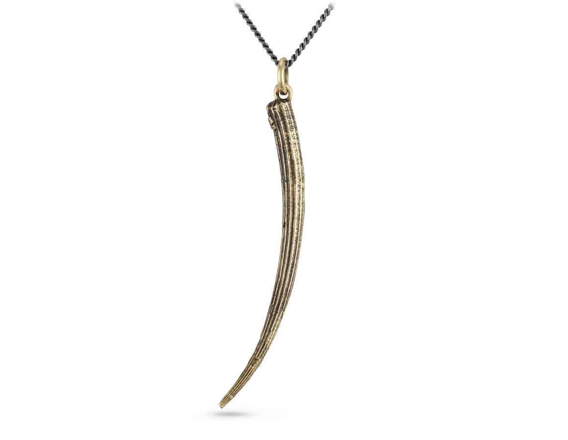 Tusk Shell Necklace in Bronze - shown on gunmetal chain