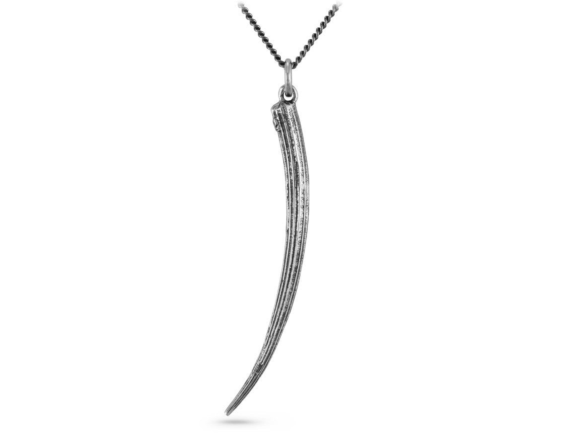 Tusk Shell Necklace in Silver - shown on gunmetal chain