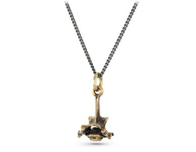 Small Vertebra Necklace in Bronze - shown on gunmetal chain