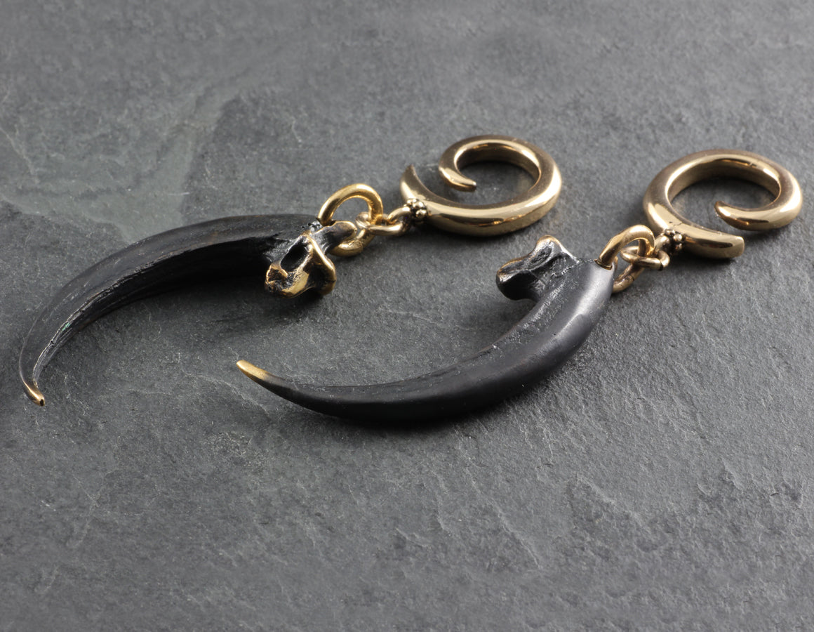 Golden Eagle Talon Gauged Spiral Earrings - Bronze