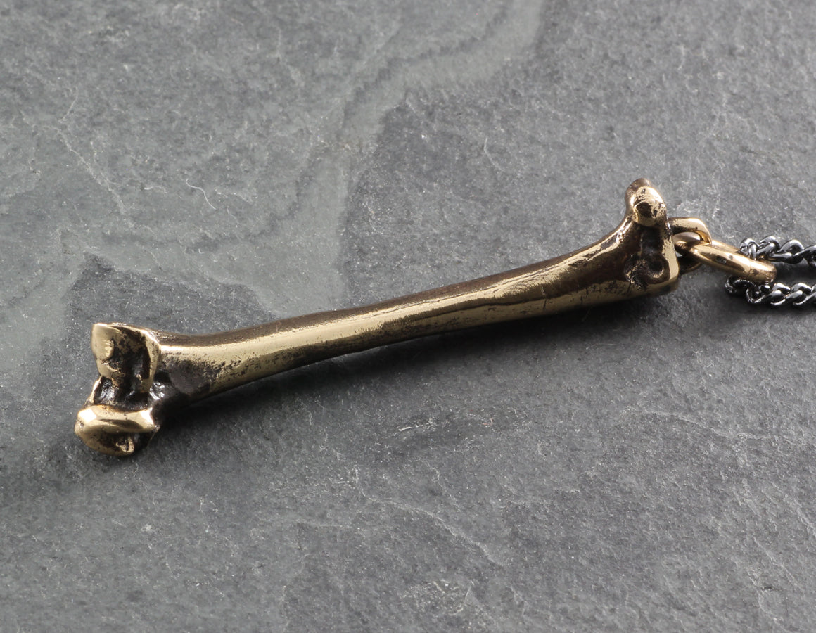 Raven Femur Bone Necklace - Bronze