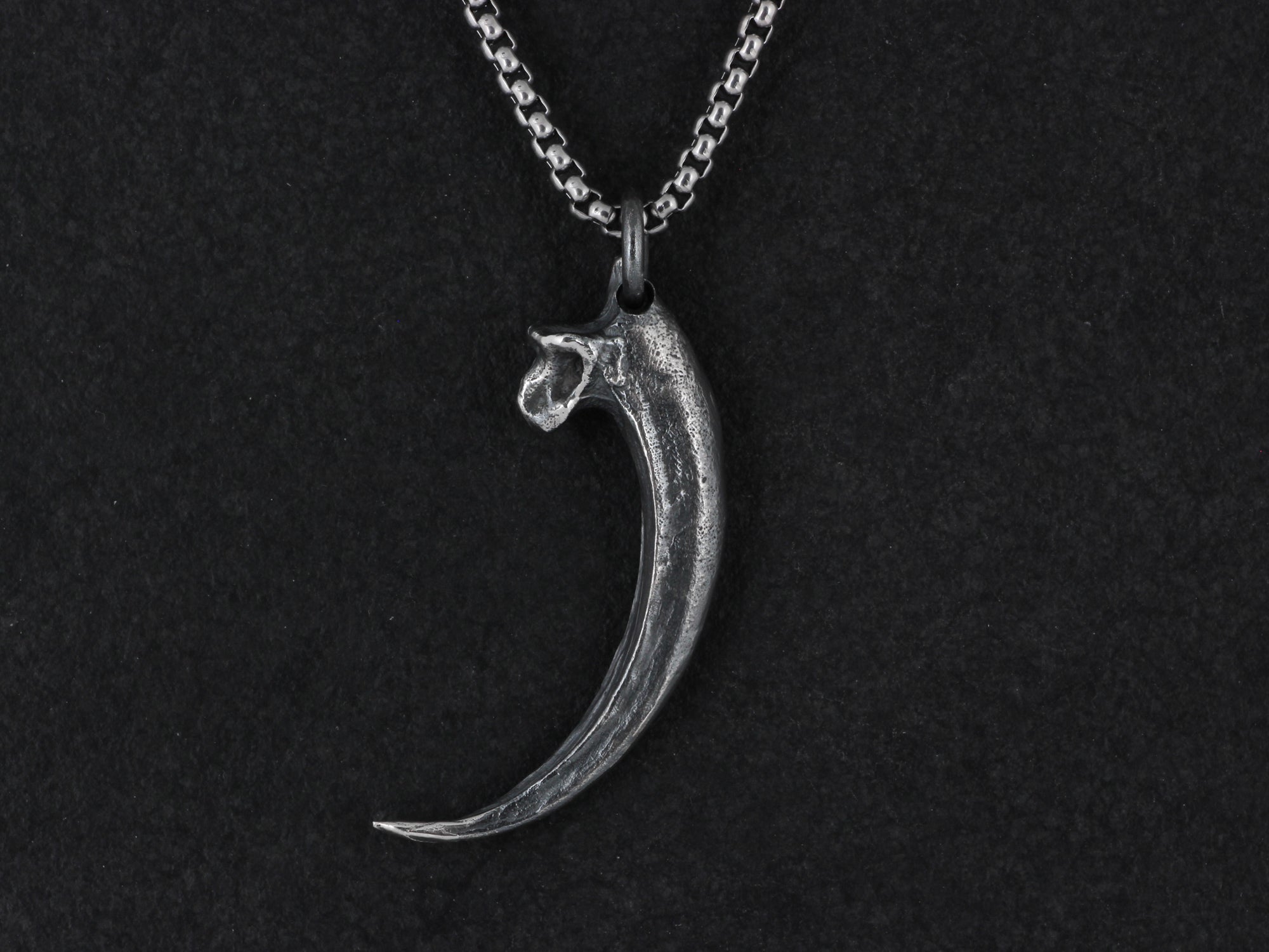 Sterling Silver Golden Eagle Talon Necklace