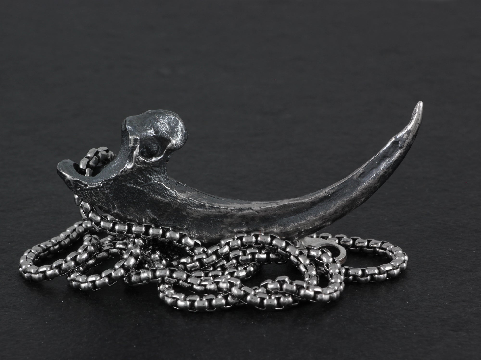 Sterling Silver Harpy Eagle Talon Necklace