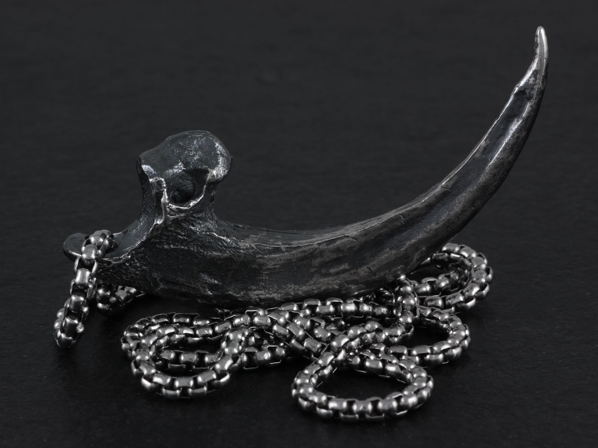 Sterling Silver Harpy Eagle Talon Necklace