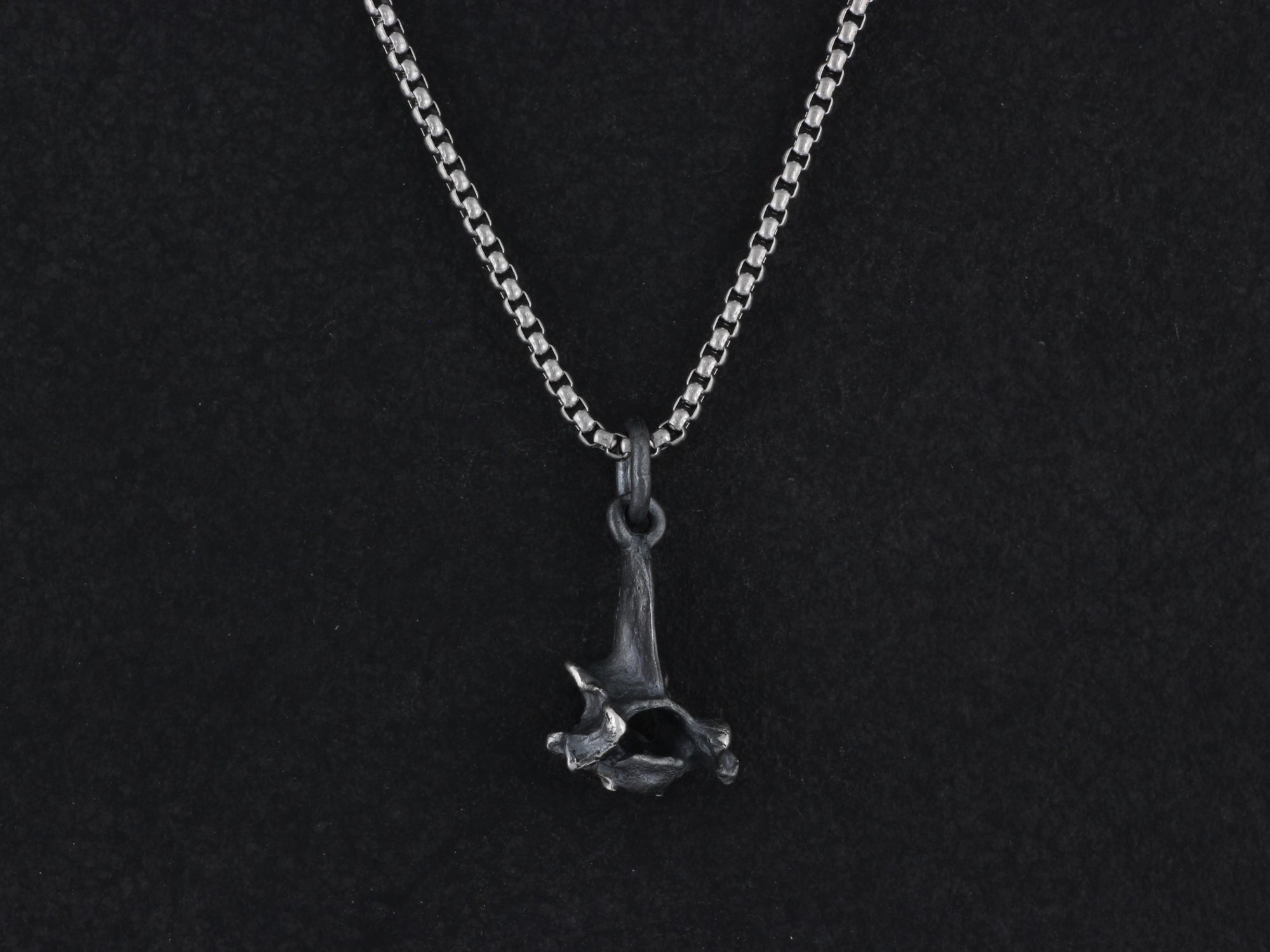 Sterling Silver Squirrel Vertebra Necklace